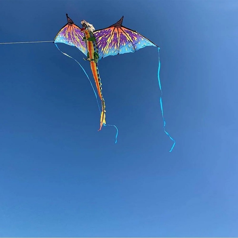 dragon kite flying in the sky